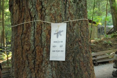 July 29, 2010 _031.jpg