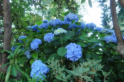 July 29, 2010 _036.jpg