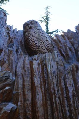July 29, 2010 _040.jpg