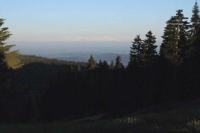 July 29, 2010 _042.jpg