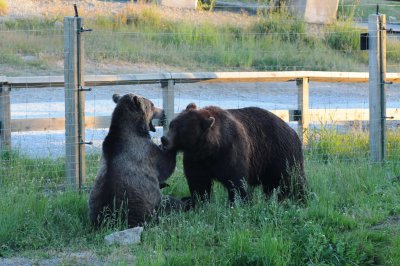 July 29, 2010 _045.jpg