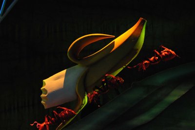 021.jpg