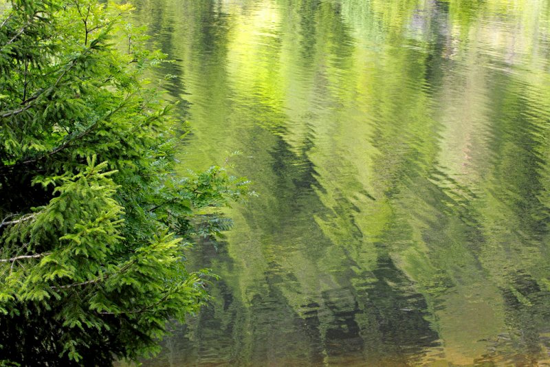 lac des truites, reflets