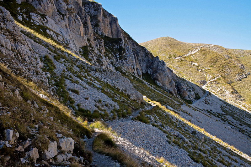 sunny path