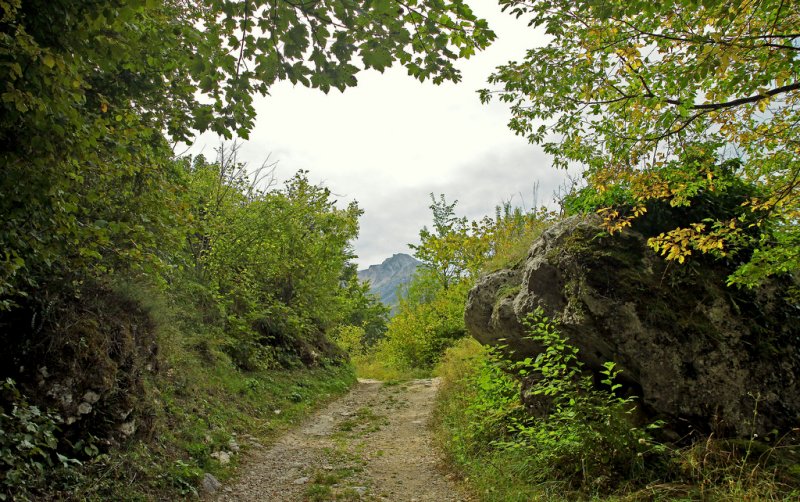 the forest of Pietracamela
