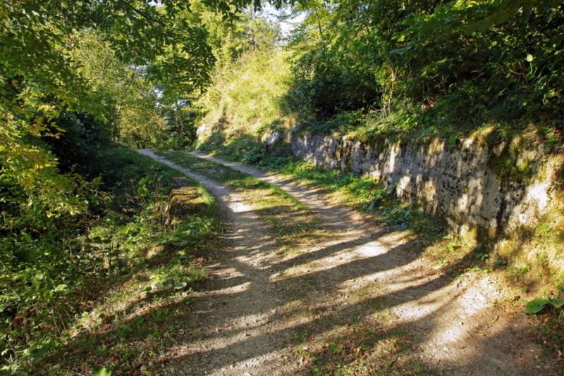 forest of Pietracamela