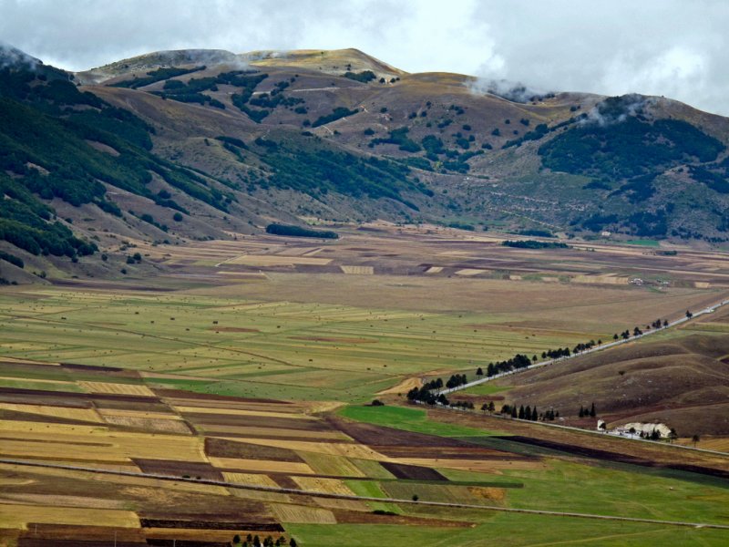 aremogna