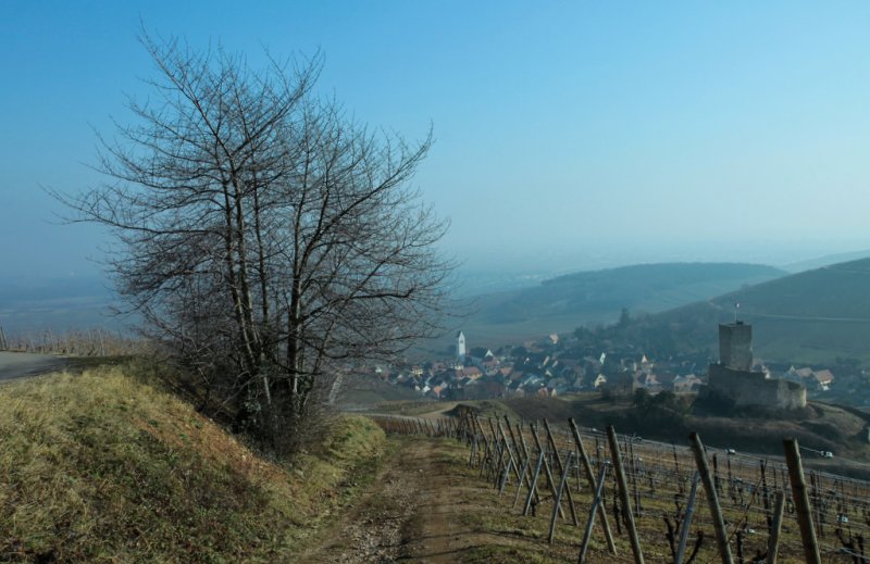 Katzenthal #2