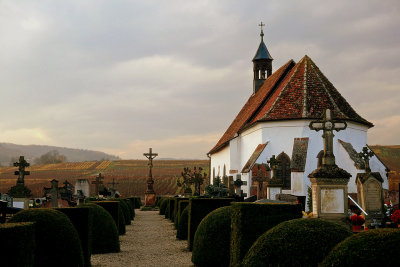 chapel and cemetery in the vines