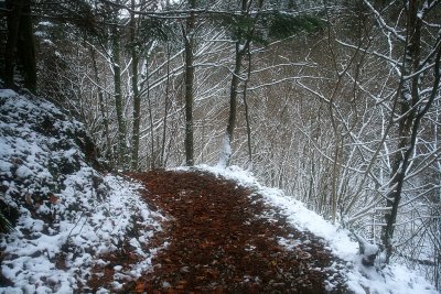 la fort enneige