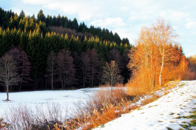 winter in Bruche valley