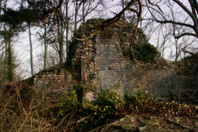 le chateau du Landsberg