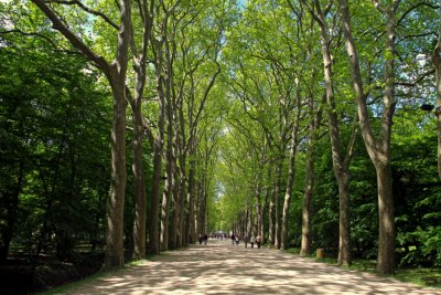 Castle Alley