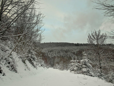 scene hivernale