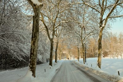 vers le canal de la Bruche