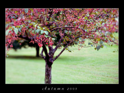 autumn