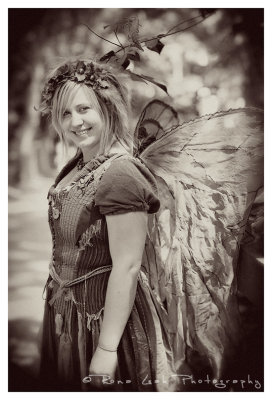 st_louis_renaissance_faire_20072008