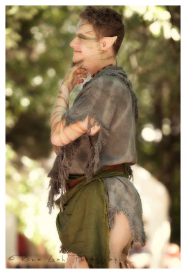 st_louis_renaissance_faire_20072008