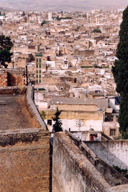 Vue  sur Fs depuis la terrasse du palais Mokri