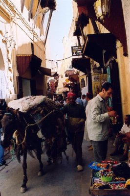 Dans la mdina