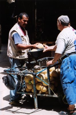 Dans la médina