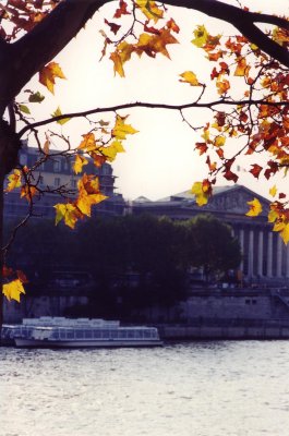 Autumn in Paris