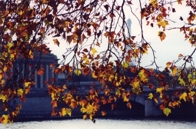 Autumn in Paris