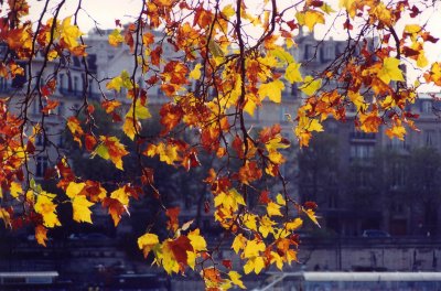 Autumn in Paris