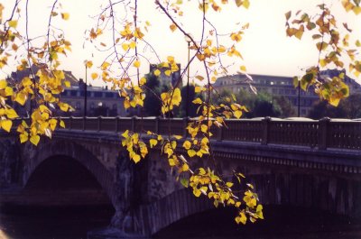 Autumn in Paris