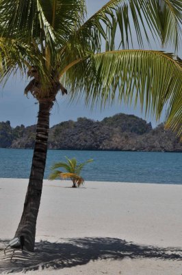 2323 Tanjung Rhu, Langkawi