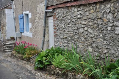 7856 Amboise