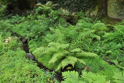7928 Le Mans - jardin des plantes