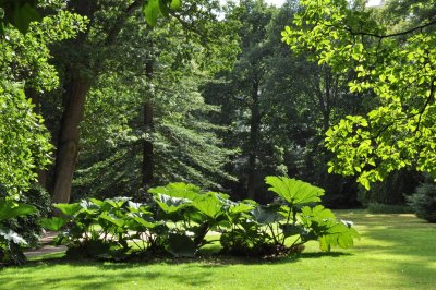 7932 Le Mans - jardin des plantes