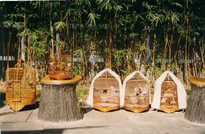 Birds Market, Kowloon