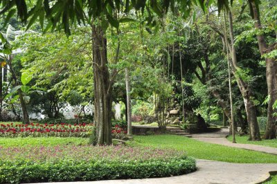 Botanical Garden - 3533