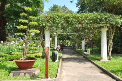 Old Pergola - Botanical Garden - 3560