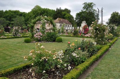 Roseraie de l'abbaye de Chaalis - 8646