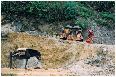 Bac Ha