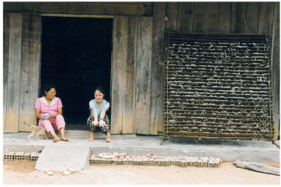 Nam Ban
