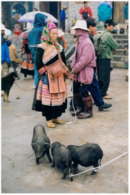 Bac Ha market