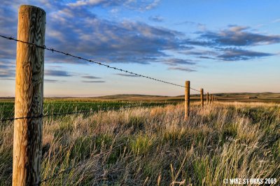 Along The Fence Line