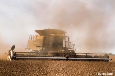 Harvest Dust