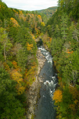 SDIM0790.jpg
