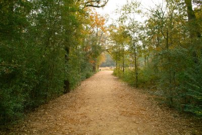 Houston Arboretum