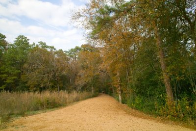 Houston Arboretum