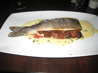 sea bass