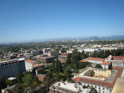 campo view
