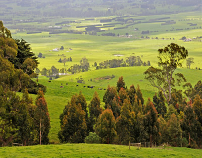 Beautiful Dairy Land in Yarragon, a Distance from Melbourne