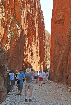 Simpson's Gap and Standley Chasm Area