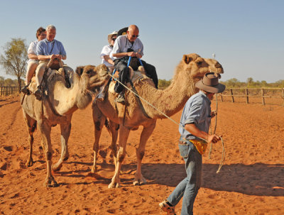 Camel Rides for Rent
